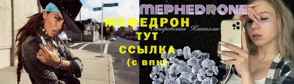 индика Осинники