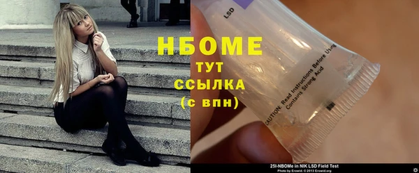 индика Осинники