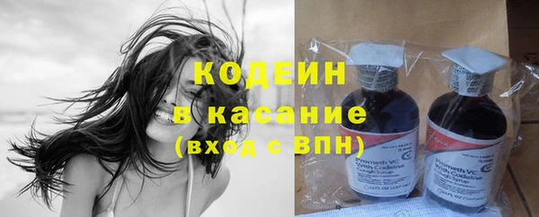 индика Осинники