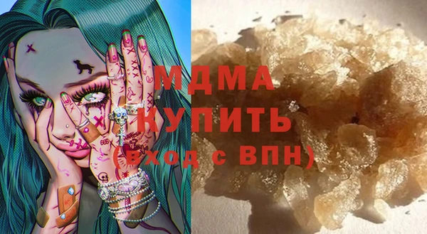 индика Осинники