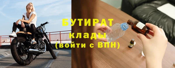 индика Осинники