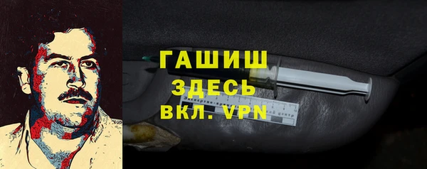 индика Осинники