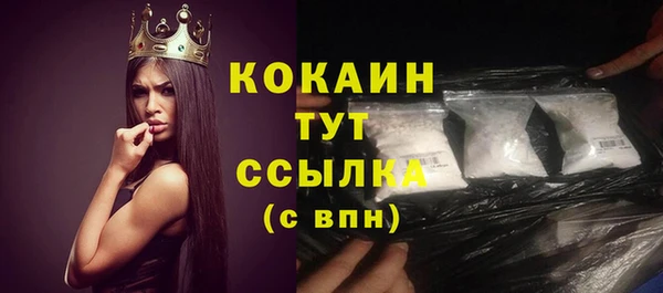 индика Осинники