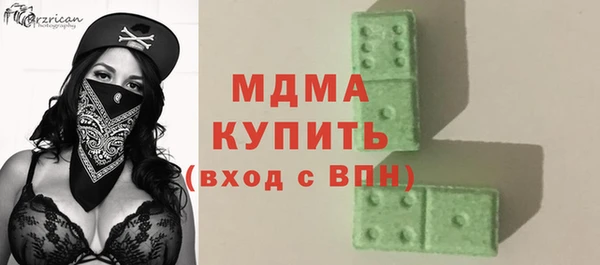 индика Осинники