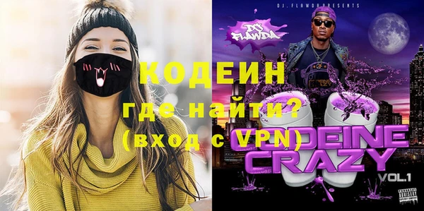 индика Осинники
