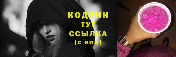 индика Осинники