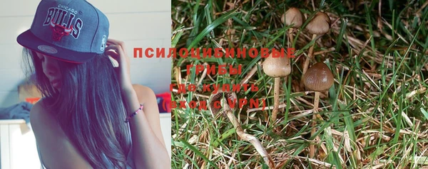 прущая мука Переславль-Залесский