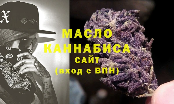 индика Осинники
