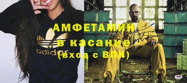 индика Осинники