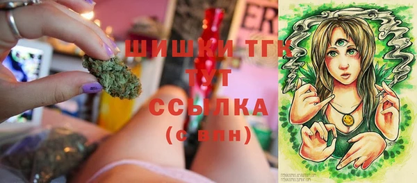 соль ск Осташков