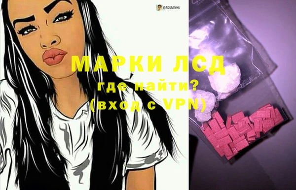 индика Осинники