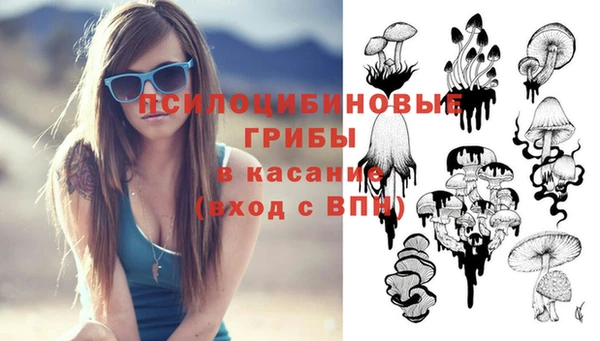 индика Осинники
