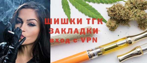 индика Осинники