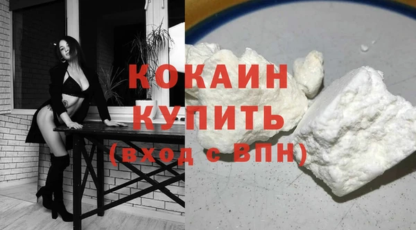 индика Осинники